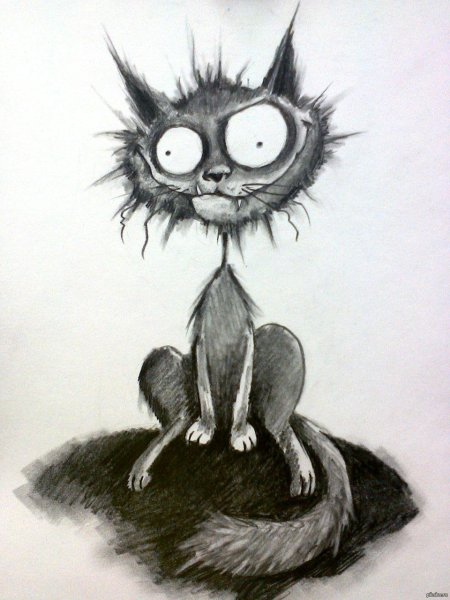 Смешные мультяшные коты