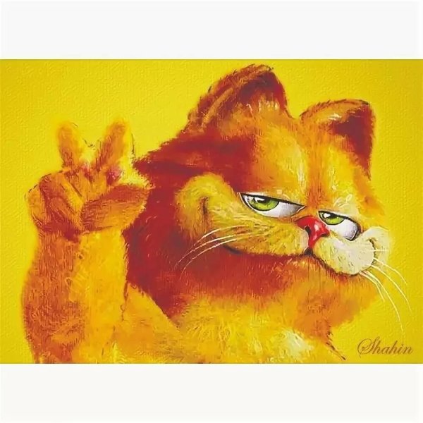 Рыжий кот открытка