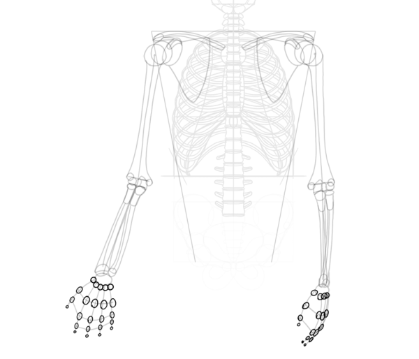 Скелет для рисования аниме