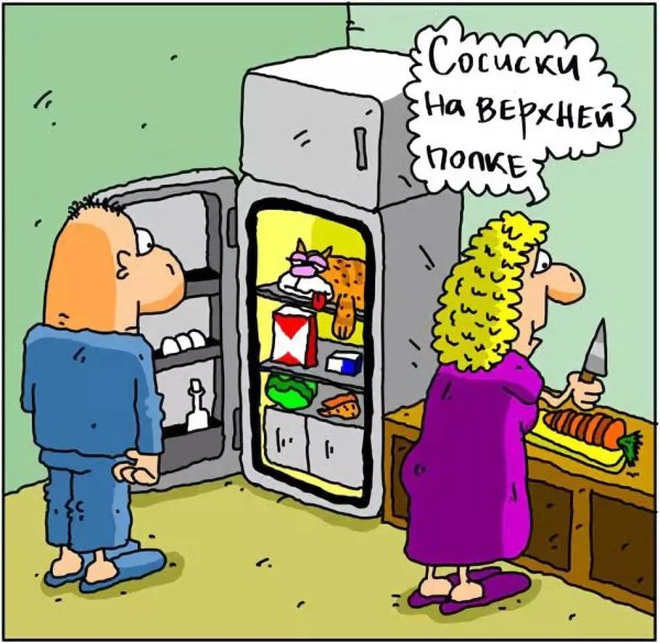 Холодильник прикол