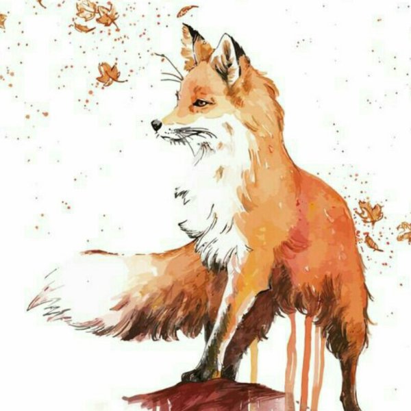 Лиса акварелью