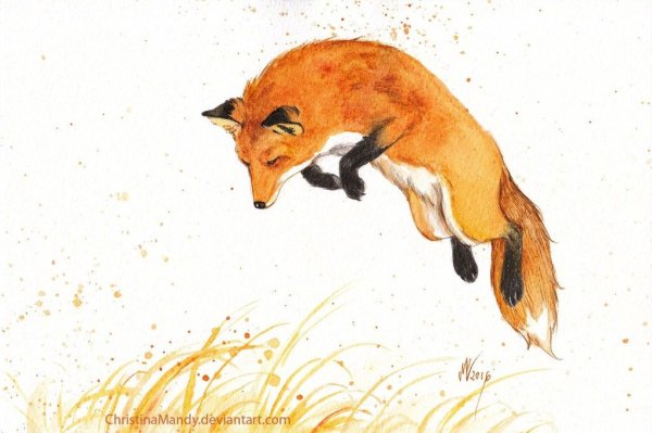 Лиса падает