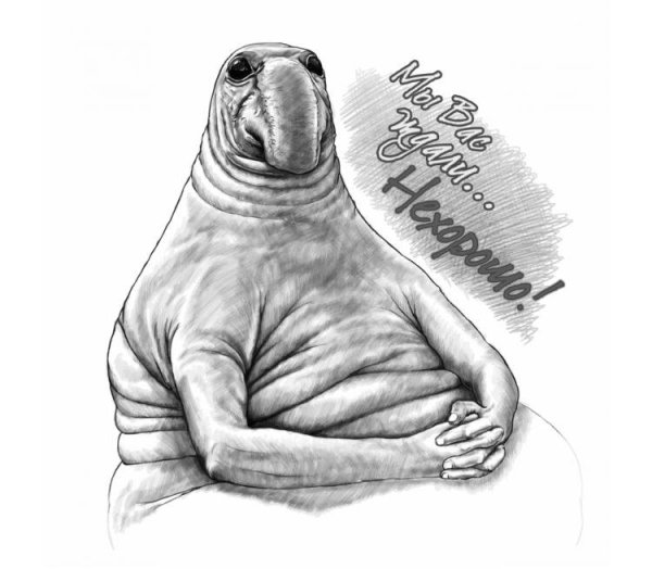 Ждун с цветами