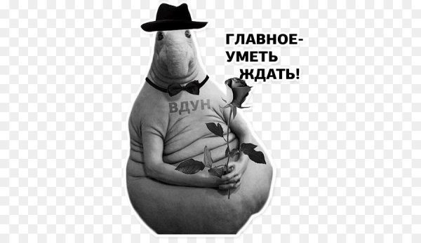 Ждун приколы с надписями