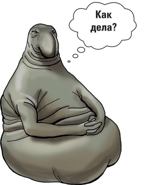 Открытка Ждуна