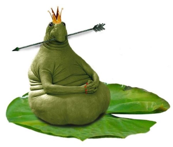 Лягушка Ждун