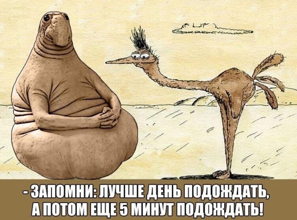 Прикольные ждуны