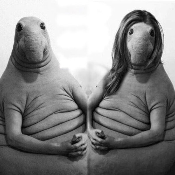 Ждун девочка