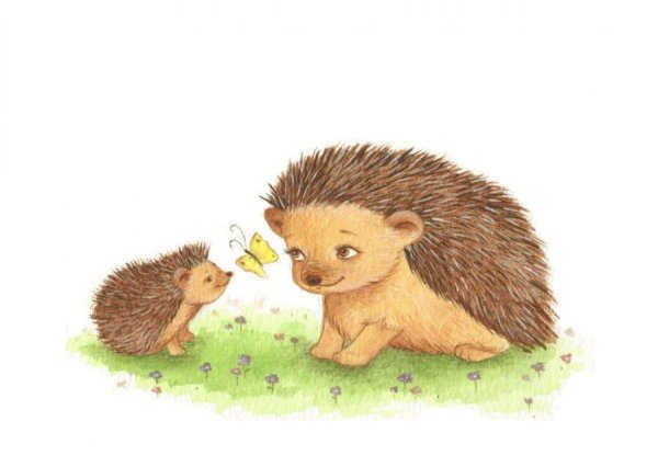Еж ежиха ежонок для детей