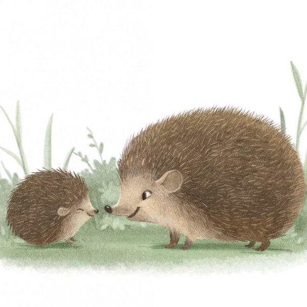 Sydney Hanson иллюстрации