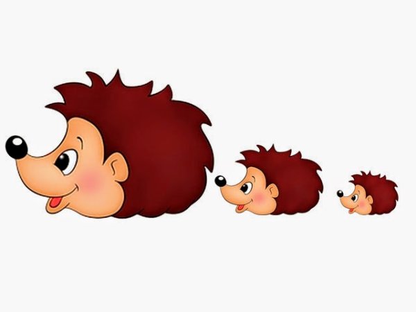 Ёжик раскраска для детей