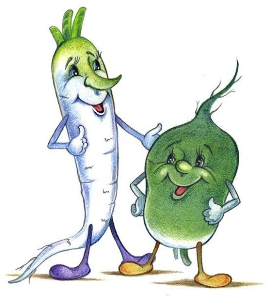 Хрен и редька