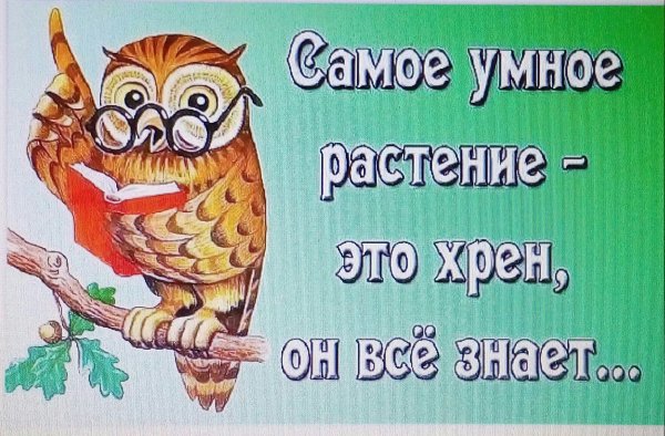 Хрен самое умное растение