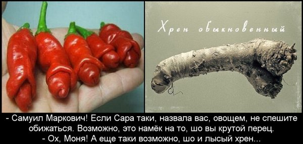 Хрен прикол