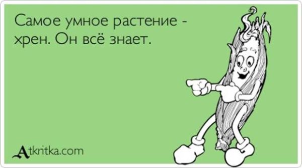 Хрен самое умное растение