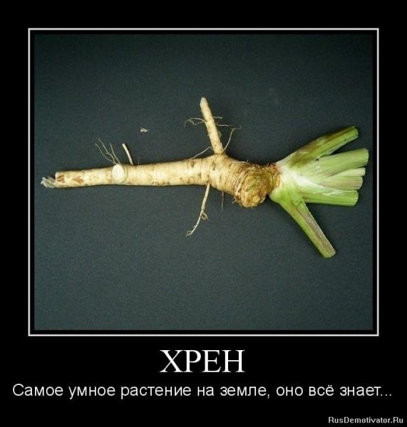 Кукиш карикатура