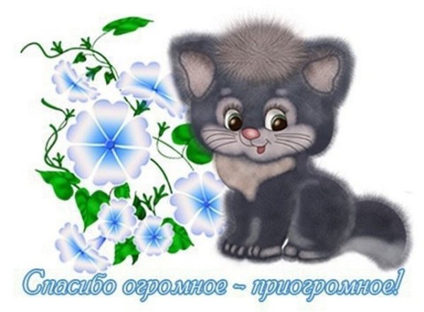 Открытка огромное огромное спасибо