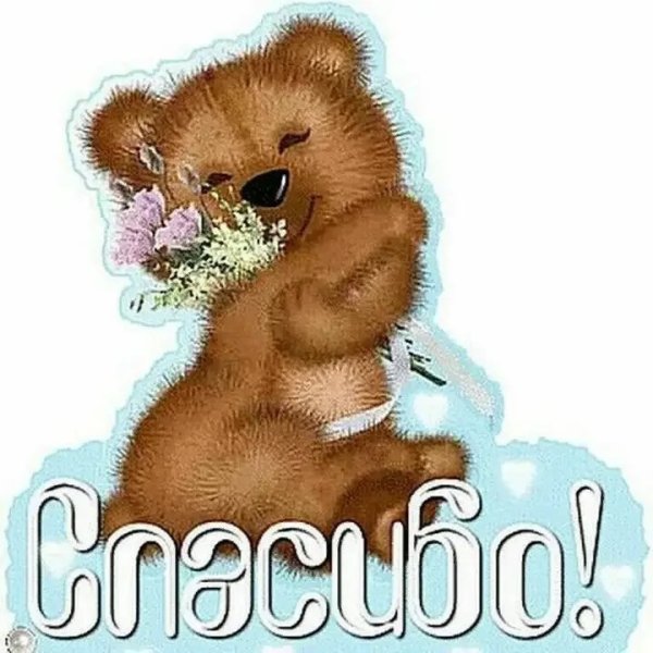 Спасибо мишка