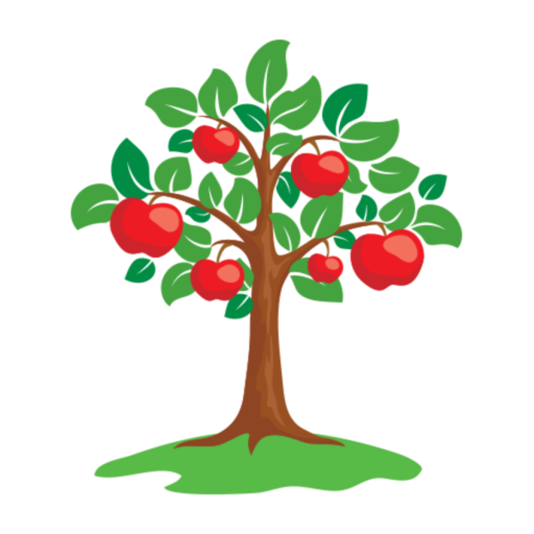 Яблоня без яблок