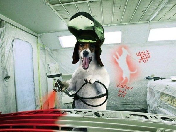 Смешной автомаляр