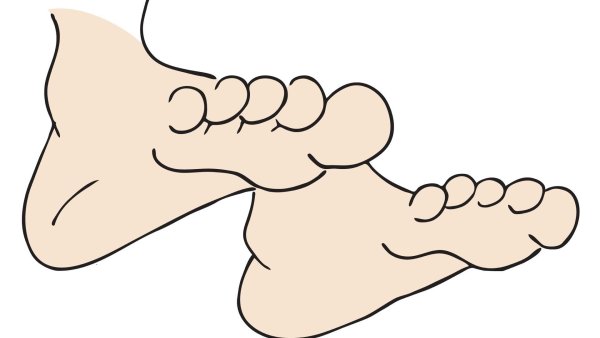 Ступня на английском