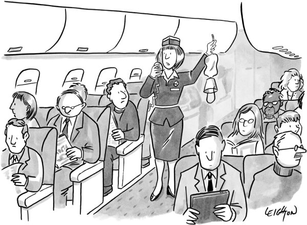 Карикатуры на бортпроводников