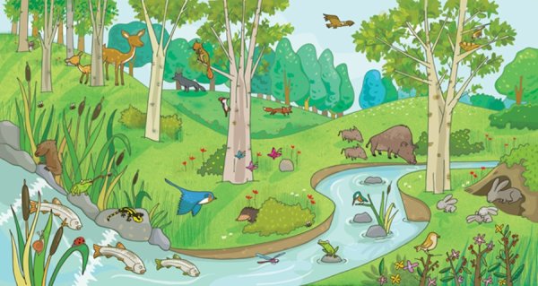 Картина лес для детей без животных