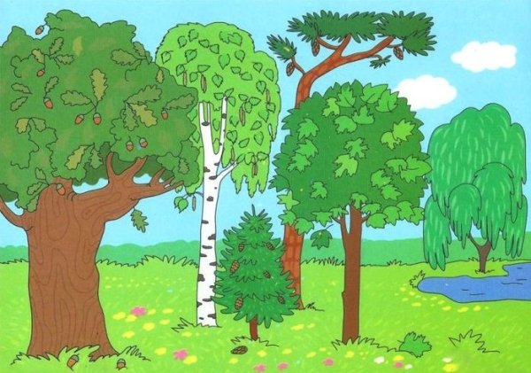 Лес для детей дошкольного возраста