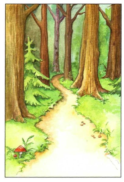 Красота леса рисунок