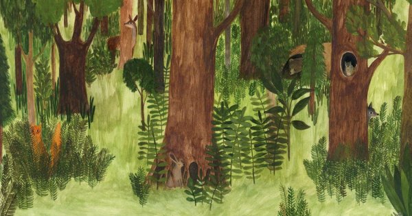 Лес иллюстрация книжная