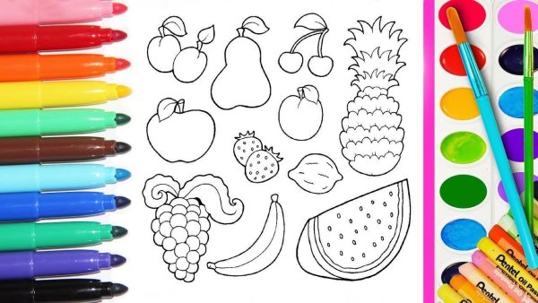 Кот карандашом для срисовки