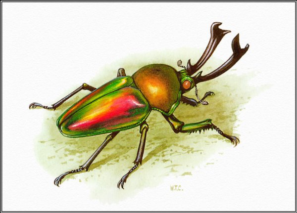 Кабаков Жук картина