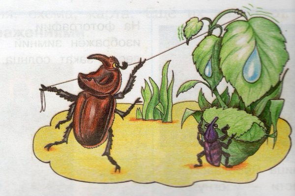 Жук для детей