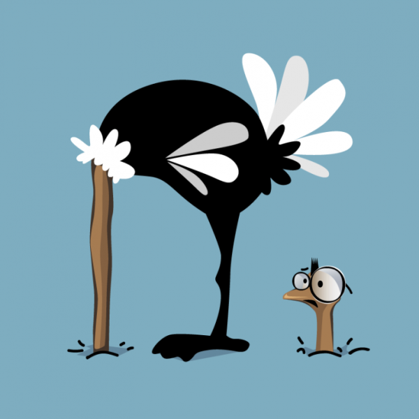 Страус юмор