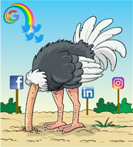 Страус в песке