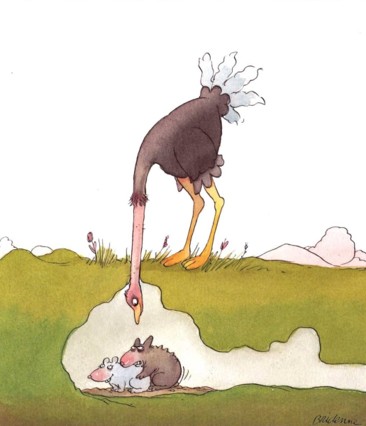 Страус засунул голову в песок