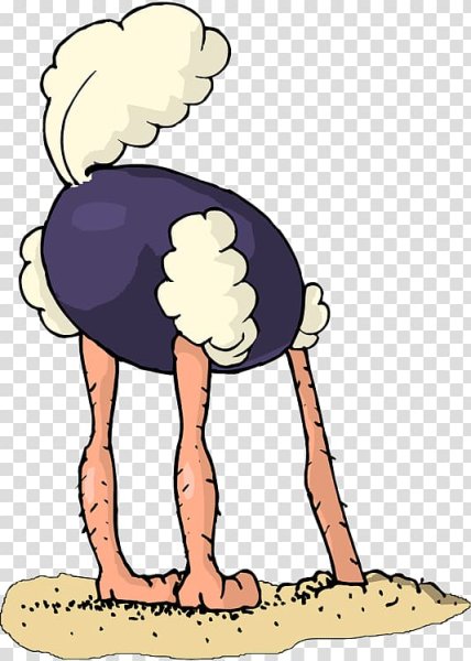 Страус смешной мультик