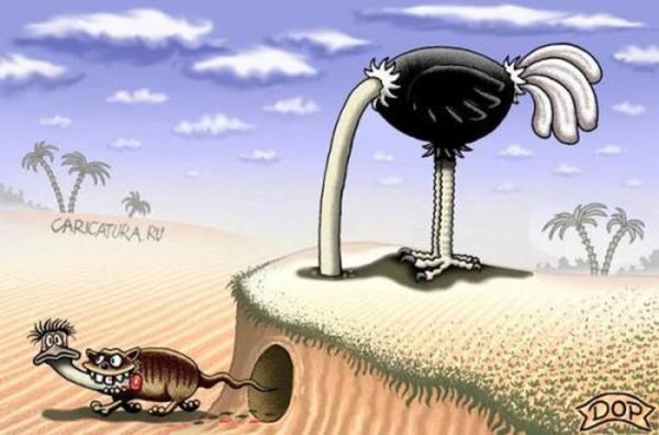 Картина Страусы