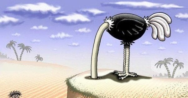 Страус прячет голову в песок