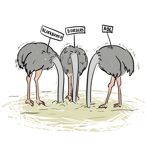 Страус прячет голову в песок