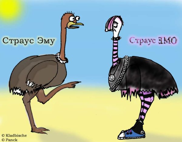 Страусы мультяшные