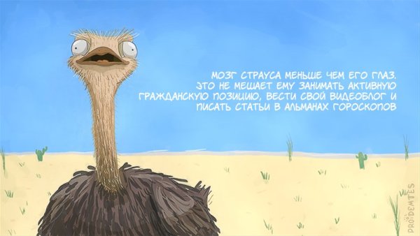 Мордочка страуса для детей