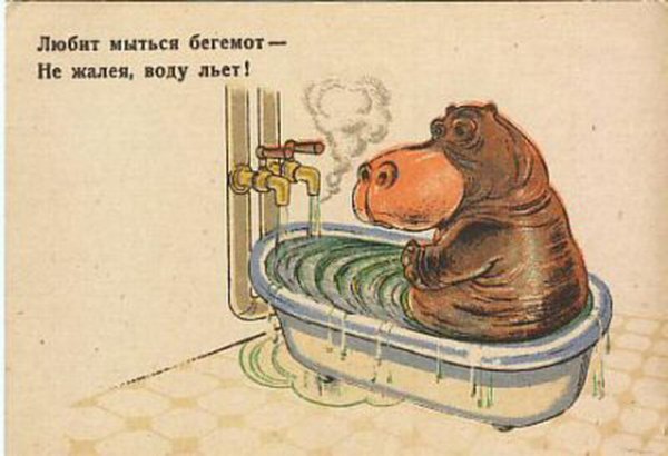 Шутки про бегемота