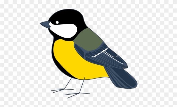 Синица мультяшный