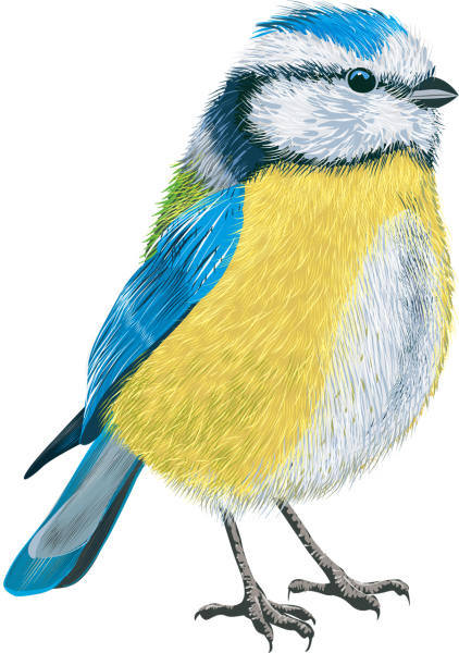 Синички мультяшные