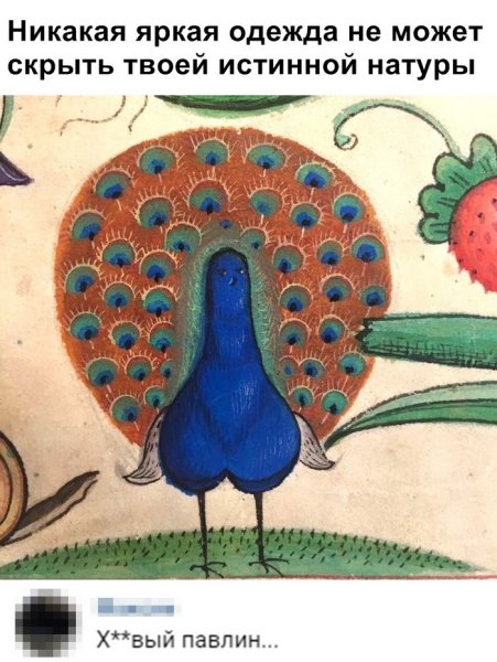 Павлин прикольный