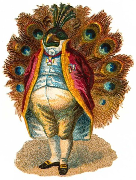 Человек Павлин