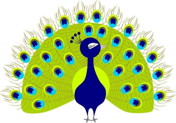 Туловище павлина для детей