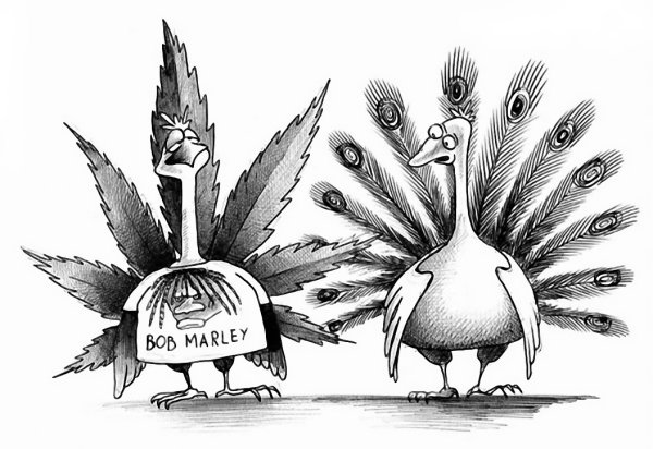 Павлин карикатура