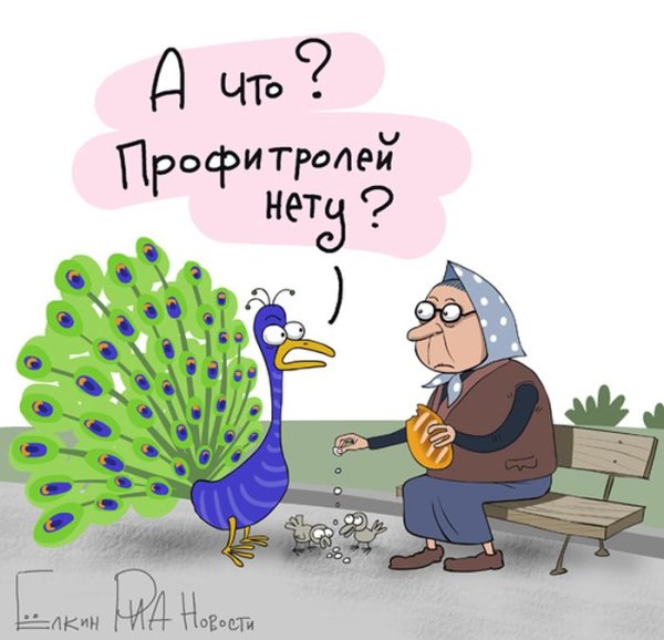 Павлин карикатура